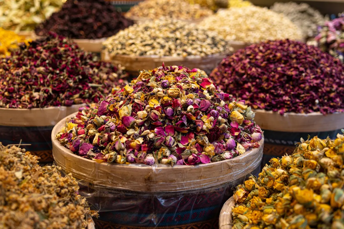 Tea Types Explained: A Beginner's Comparison of White, Green, Oolong, Black, and Pu-erh